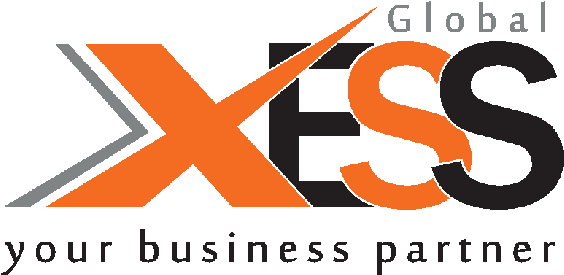 Xess Global - Innovative Technology Solutions for Businesses